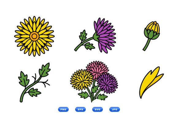 Chrysanthemum Floral Clipart for Graphics and Illustrations