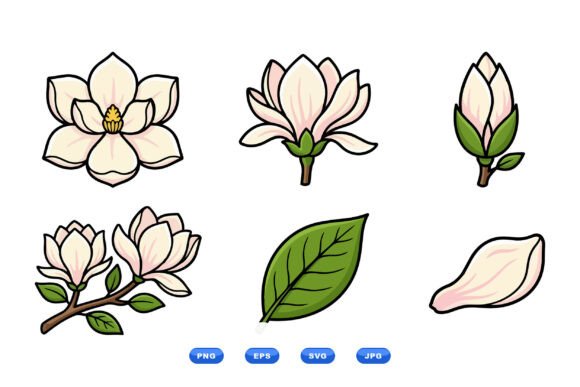 Elegant Magnolia Floral Clipart for Graphics & Illustrations
