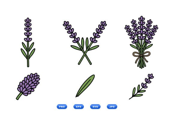 Lavender Herb Floral Clipart Review