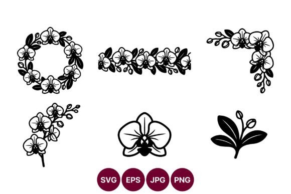 Orchid Floral Vector Set: Premium Graphics & Illustrations