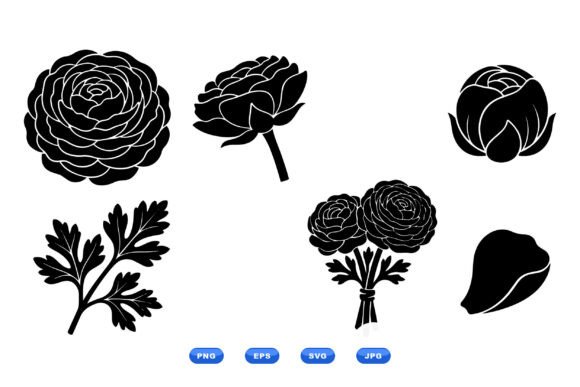 Ranunculus Floral SVG Collection: Premium Graphics & Illustrations for Sellers