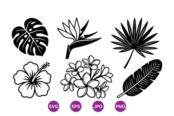Tropical Floral Vector Clipart: Premium Graphics for Illustrations